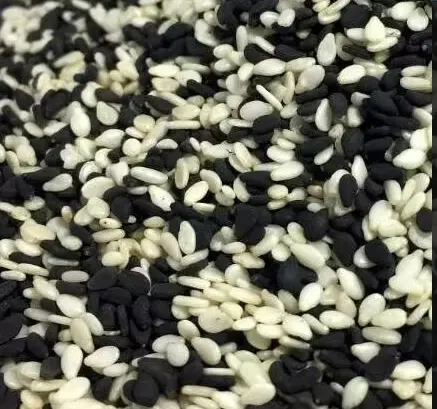 Sesame